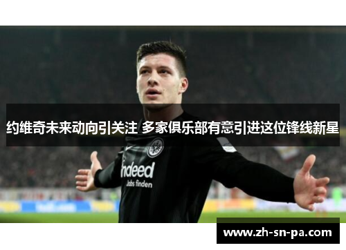 约维奇未来动向引关注 多家俱乐部有意引进这位锋线新星