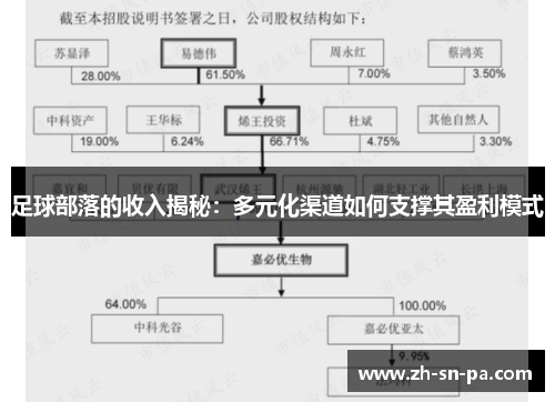 足球部落的收入揭秘：多元化渠道如何支撑其盈利模式