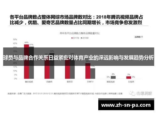 球员与品牌合作关系日益紧密对体育产业的深远影响与发展趋势分析