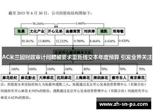 AC米兰因财政审计问题被要求重新提交本年度预算 引发业界关注