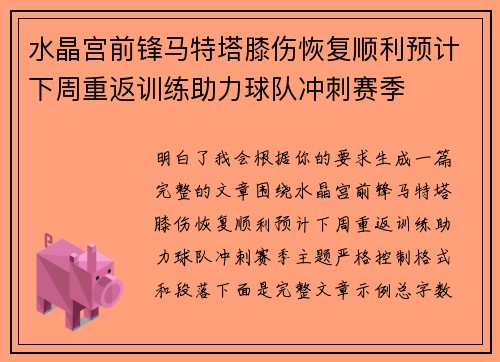 水晶宫前锋马特塔膝伤恢复顺利预计下周重返训练助力球队冲刺赛季
